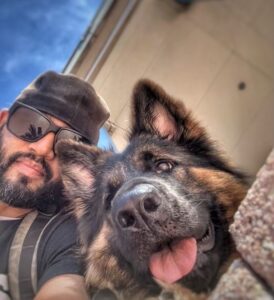 Ernie Diez — Off Leash K9 Training of Tampa