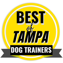 Best of Tampa